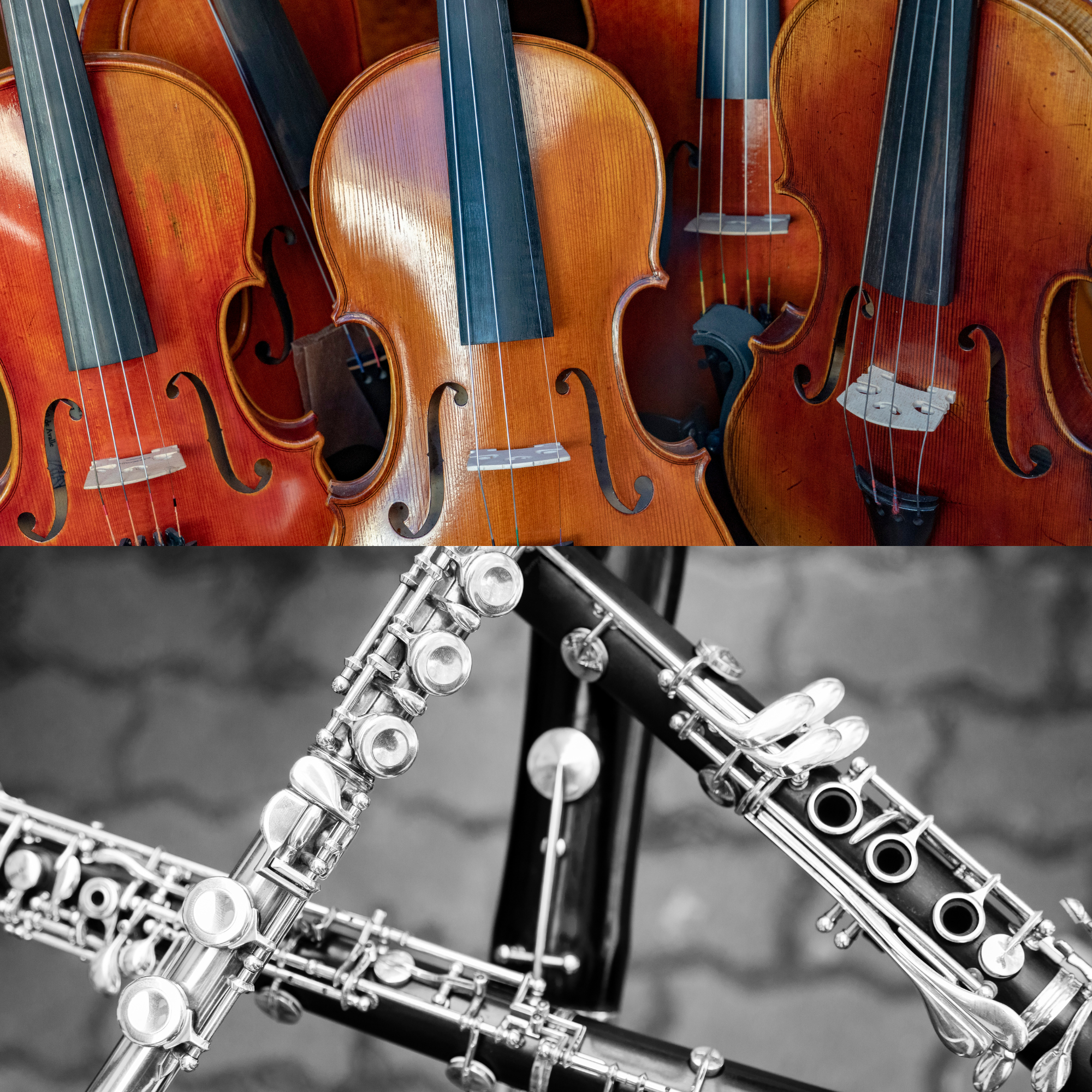 Strings & Winds
